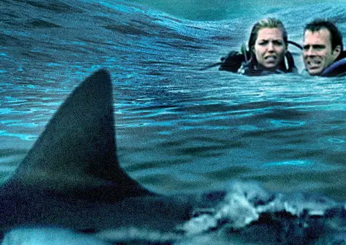 4. Open Water (2003) - Directed by Chris Kentis - Top 10 Best Shark Movies Ever Made